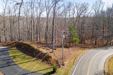 Discover the perfect blend of luxury and tranquility with this 1 on Riverwatch Golf Club in Tennessee - for sale on GolfHomes.com, golf home, golf lot