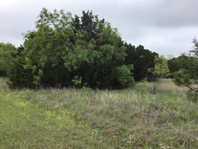 Fast developing community. Great buildable lot .25 acres.  Enjoy on White Bluff Resort - New Course in Texas - for sale on GolfHomes.com, golf home, golf lot