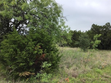 Fast developing community. Great buildable lot .25 acres.  Enjoy on White Bluff Resort - New Course in Texas - for sale on GolfHomes.com, golf home, golf lot
