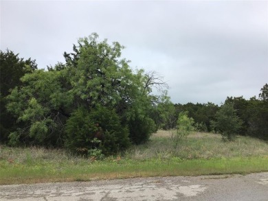 Fast developing community. Great buildable lot .25 acres.  Enjoy on White Bluff Resort - New Course in Texas - for sale on GolfHomes.com, golf home, golf lot