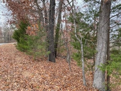 This rare 1.87-acre residential lot will provide a great place on Bella Vista Country Club - Scottsdale in Arkansas - for sale on GolfHomes.com, golf home, golf lot