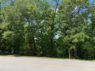 This rare 1.87-acre residential lot will provide a great place on Bella Vista Country Club - Scottsdale in Arkansas - for sale on GolfHomes.com, golf home, golf lot