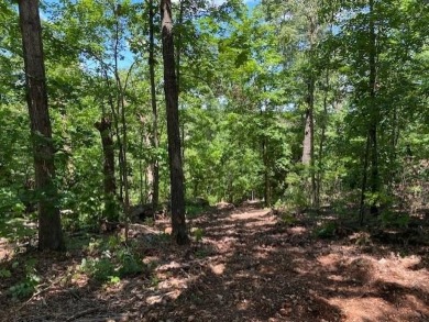 This rare 1.87-acre residential lot will provide a great place on Bella Vista Country Club - Scottsdale in Arkansas - for sale on GolfHomes.com, golf home, golf lot