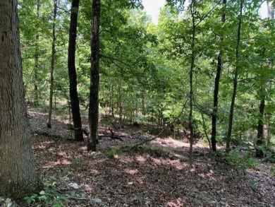This rare 1.87-acre residential lot will provide a great place on Bella Vista Country Club - Scottsdale in Arkansas - for sale on GolfHomes.com, golf home, golf lot