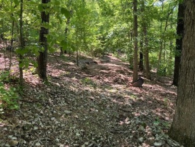 This rare 1.87-acre residential lot will provide a great place on Bella Vista Country Club - Scottsdale in Arkansas - for sale on GolfHomes.com, golf home, golf lot
