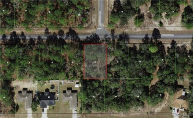 DON'T WAIT, buy your piece of Florida and enjoy all of what the on Citrus Springs Country Club in Florida - for sale on GolfHomes.com, golf home, golf lot