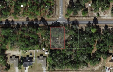 DON'T WAIT, buy your piece of Florida and enjoy all of what the on Citrus Springs Country Club in Florida - for sale on GolfHomes.com, golf home, golf lot
