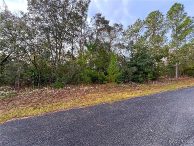 DON'T WAIT, buy your piece of Florida and enjoy all of what the on Citrus Springs Country Club in Florida - for sale on GolfHomes.com, golf home, golf lot