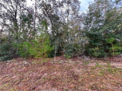 DON'T WAIT, buy your piece of Florida and enjoy all of what the on Citrus Springs Country Club in Florida - for sale on GolfHomes.com, golf home, golf lot