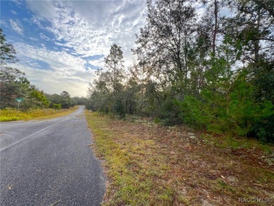 DON'T WAIT, buy your piece of Florida and enjoy all of what the on Citrus Springs Country Club in Florida - for sale on GolfHomes.com, golf home, golf lot