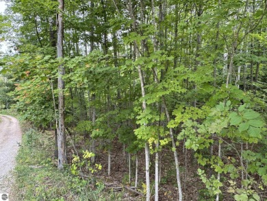This 1.12-acre parcel features mature hardwoods and a gentle on Manitou Passage Golf Club in Michigan - for sale on GolfHomes.com, golf home, golf lot