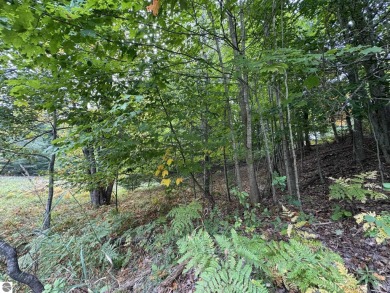 This 0.81-acre parcel features mature hardwoods, open area near on Manitou Passage Golf Club in Michigan - for sale on GolfHomes.com, golf home, golf lot