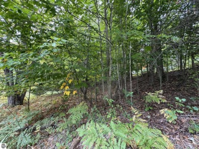 This 0.81-acre parcel features mature hardwoods, open area near on Manitou Passage Golf Club in Michigan - for sale on GolfHomes.com, golf home, golf lot