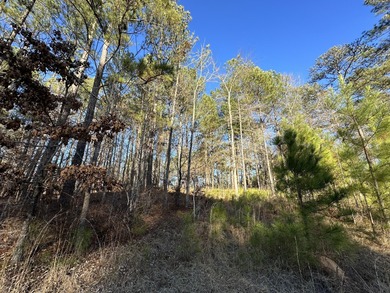 PRICE REDUCED!! Beautiful Waterfront Building Lot in Mount on Mount Vintage Plantation and Golf Club  in South Carolina - for sale on GolfHomes.com, golf home, golf lot