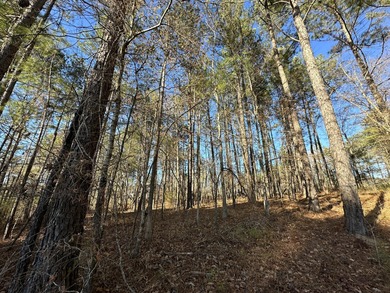 PRICE REDUCED!! Beautiful Waterfront Building Lot in Mount on Mount Vintage Plantation and Golf Club  in South Carolina - for sale on GolfHomes.com, golf home, golf lot