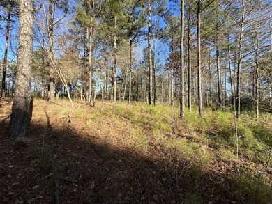 PRICE REDUCED!! Beautiful Waterfront Building Lot in Mount on Mount Vintage Plantation and Golf Club  in South Carolina - for sale on GolfHomes.com, golf home, golf lot