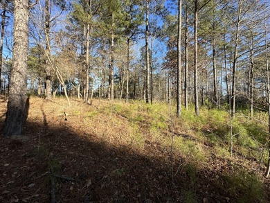 PRICE REDUCED!! Beautiful Waterfront Building Lot in Mount on Mount Vintage Plantation and Golf Club  in South Carolina - for sale on GolfHomes.com, golf home, golf lot