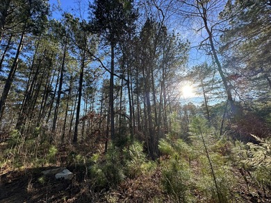 PRICE REDUCED!! Beautiful Waterfront Building Lot in Mount on Mount Vintage Plantation and Golf Club  in South Carolina - for sale on GolfHomes.com, golf home, golf lot