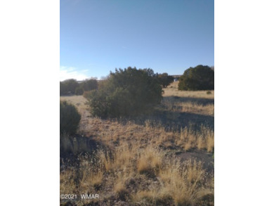 Build ready 0.37 acre located on Pate Lane in Concho near Concho on Concho Valley Country Club in Arizona - for sale on GolfHomes.com, golf home, golf lot