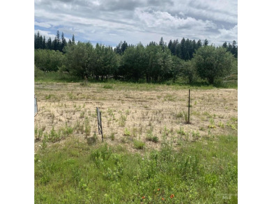 Stunning .31 Acre Townhouse lot in Picturesque McCall. Escape to on McCall Municipal Golf Course in Idaho - for sale on GolfHomes.com, golf home, golf lot