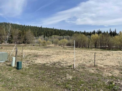 Stunning .31 Acre Townhouse lot in Picturesque McCall. Escape to on McCall Municipal Golf Course in Idaho - for sale on GolfHomes.com, golf home, golf lot