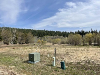 Stunning .31 Acre Townhouse lot in Picturesque McCall. Escape to on McCall Municipal Golf Course in Idaho - for sale on GolfHomes.com, golf home, golf lot