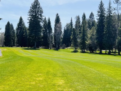 Stunning .31 Acre Townhouse lot in Picturesque McCall. Escape to on McCall Municipal Golf Course in Idaho - for sale on GolfHomes.com, golf home, golf lot