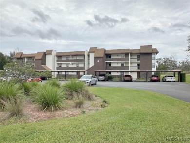 LOCATION! LOCATION! LOCATION! for this 2 bedroom 2 bath first on Sugarmill Woods Golf and Country Club in Florida - for sale on GolfHomes.com, golf home, golf lot