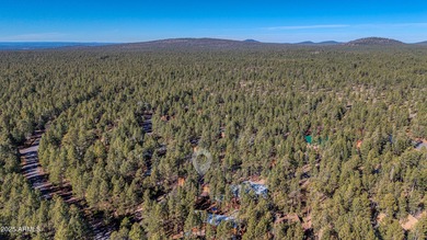 7185 Moon Creek Circle Pinetop, AZ 85935 - Located in the Highly on Pinetop Lakes Country Club in Arizona - for sale on GolfHomes.com, golf home, golf lot