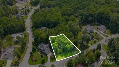 Great location and perfect opportunity to build your dream home! on Club At Irish Creek in North Carolina - for sale on GolfHomes.com, golf home, golf lot