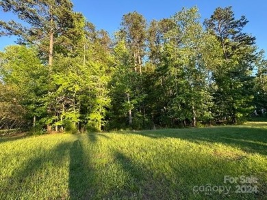 Great location and perfect opportunity to build your dream home! on Club At Irish Creek in North Carolina - for sale on GolfHomes.com, golf home, golf lot