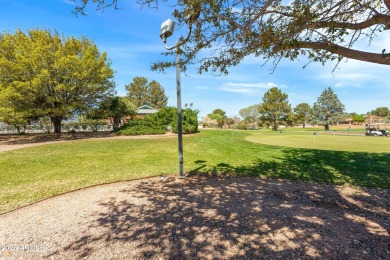 Custom Walston built home. Walking distance to Golf Course and on Pueblo Del Sol Country Club in Arizona - for sale on GolfHomes.com, golf home, golf lot