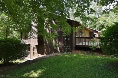 Don't miss this opportunity to own a fully updated 2-bedroom on Atwood Lake Resort Golf Course in Ohio - for sale on GolfHomes.com, golf home, golf lot