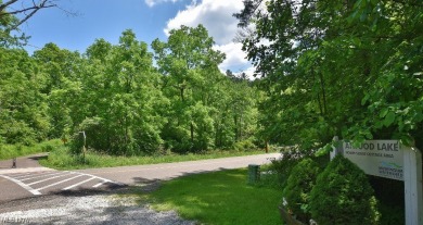 Don't miss this opportunity to own a fully updated 2-bedroom on Atwood Lake Resort Golf Course in Ohio - for sale on GolfHomes.com, golf home, golf lot