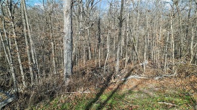 Exceptional lot with community property behind the lot and on Bella Vista Country Club - Scottsdale in Arkansas - for sale on GolfHomes.com, golf home, golf lot