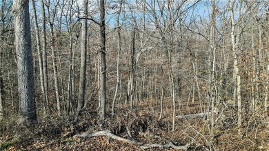 Exceptional lot with community property behind the lot and on Bella Vista Country Club - Scottsdale in Arkansas - for sale on GolfHomes.com, golf home, golf lot