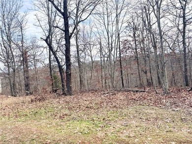 Build your dream home on this beautiful 0.28-acre lot in Bella on Bella Vista Country Club - Berksdale in Arkansas - for sale on GolfHomes.com, golf home, golf lot