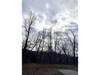 Build your dream home on this beautiful 0.28-acre lot in Bella on Bella Vista Country Club - Berksdale in Arkansas - for sale on GolfHomes.com, golf home, golf lot