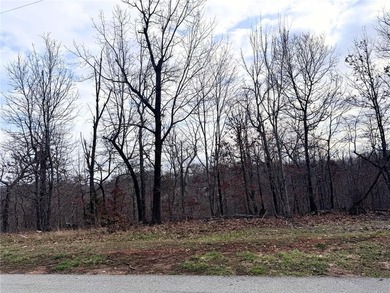 Build your dream home on this beautiful 0.28-acre lot in Bella on Bella Vista Country Club - Berksdale in Arkansas - for sale on GolfHomes.com, golf home, golf lot