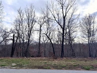 Build your dream home on this beautiful 0.28-acre lot in Bella on Bella Vista Country Club - Berksdale in Arkansas - for sale on GolfHomes.com, golf home, golf lot