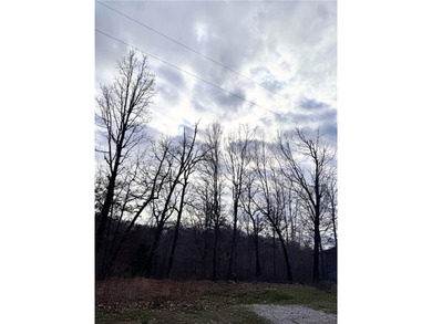 Build your dream home on this beautiful 0.28-acre lot in Bella on Bella Vista Country Club - Berksdale in Arkansas - for sale on GolfHomes.com, golf home, golf lot