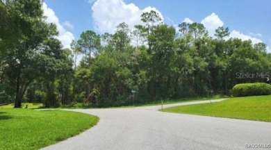 Beautiful corner lot in Rainbow Springs Country Club South! on Rainbow Springs Golf and Country Club in Florida - for sale on GolfHomes.com, golf home, golf lot