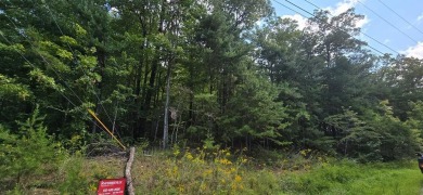 4.2 wooded acres in beautiful Cumberland Cove which offers 3 on Mountain Ridge Golf Club in Tennessee - for sale on GolfHomes.com, golf home, golf lot