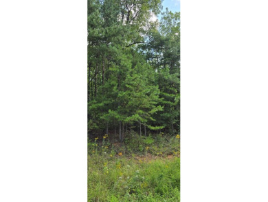 4.2 wooded acres in beautiful Cumberland Cove which offers 3 on Mountain Ridge Golf Club in Tennessee - for sale on GolfHomes.com, golf home, golf lot