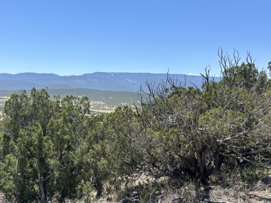 Top of the hill lot in the San Pedro Creek Estates community on Paa-Ko Ridge Golf Club  in New Mexico - for sale on GolfHomes.com, golf home, golf lot