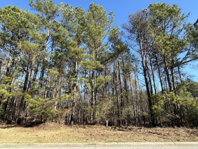 Nice building lot in Mount Vintage Plantation - Longstreet Place on Mount Vintage Plantation and Golf Club  in South Carolina - for sale on GolfHomes.com, golf home, golf lot