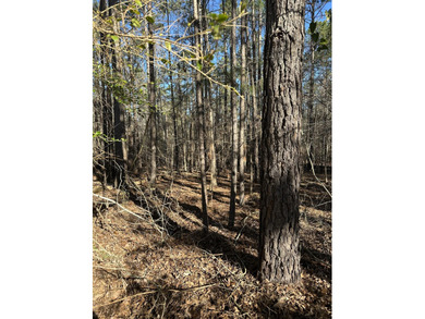 Nice building lot in Mount Vintage Plantation - Longstreet Place on Mount Vintage Plantation and Golf Club  in South Carolina - for sale on GolfHomes.com, golf home, golf lot