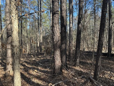 Nice building lot in Mount Vintage Plantation - Longstreet Place on Mount Vintage Plantation and Golf Club  in South Carolina - for sale on GolfHomes.com, golf home, golf lot