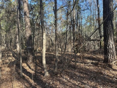 Nice building lot in Mount Vintage Plantation - Longstreet Place on Mount Vintage Plantation and Golf Club  in South Carolina - for sale on GolfHomes.com, golf home, golf lot