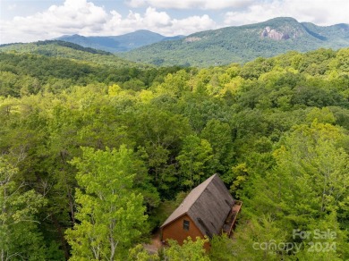 Located outside the gates but within the resort community of on Rumbling Bald Resort on Lake Lure in North Carolina - for sale on GolfHomes.com, golf home, golf lot